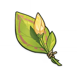 來自何處的待放之花