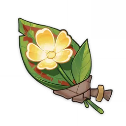 何人所珍藏之花