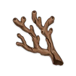 遠海夷地的瑚枝